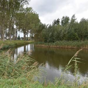 Lunetten